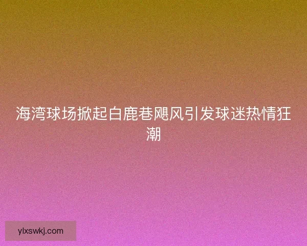 海湾球场掀起白鹿巷飓风引发球迷热情狂潮