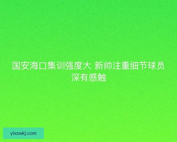 国安海口集训强度大 新帅注重细节球员深有感触