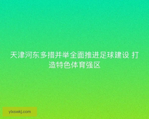 天津河东多措并举全面推进足球建设 打造特色体育强区