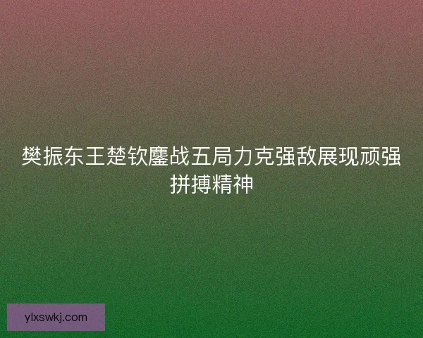 樊振东王楚钦鏖战五局力克强敌展现顽强拼搏精神